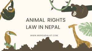 Animal Rights Law in Nepal